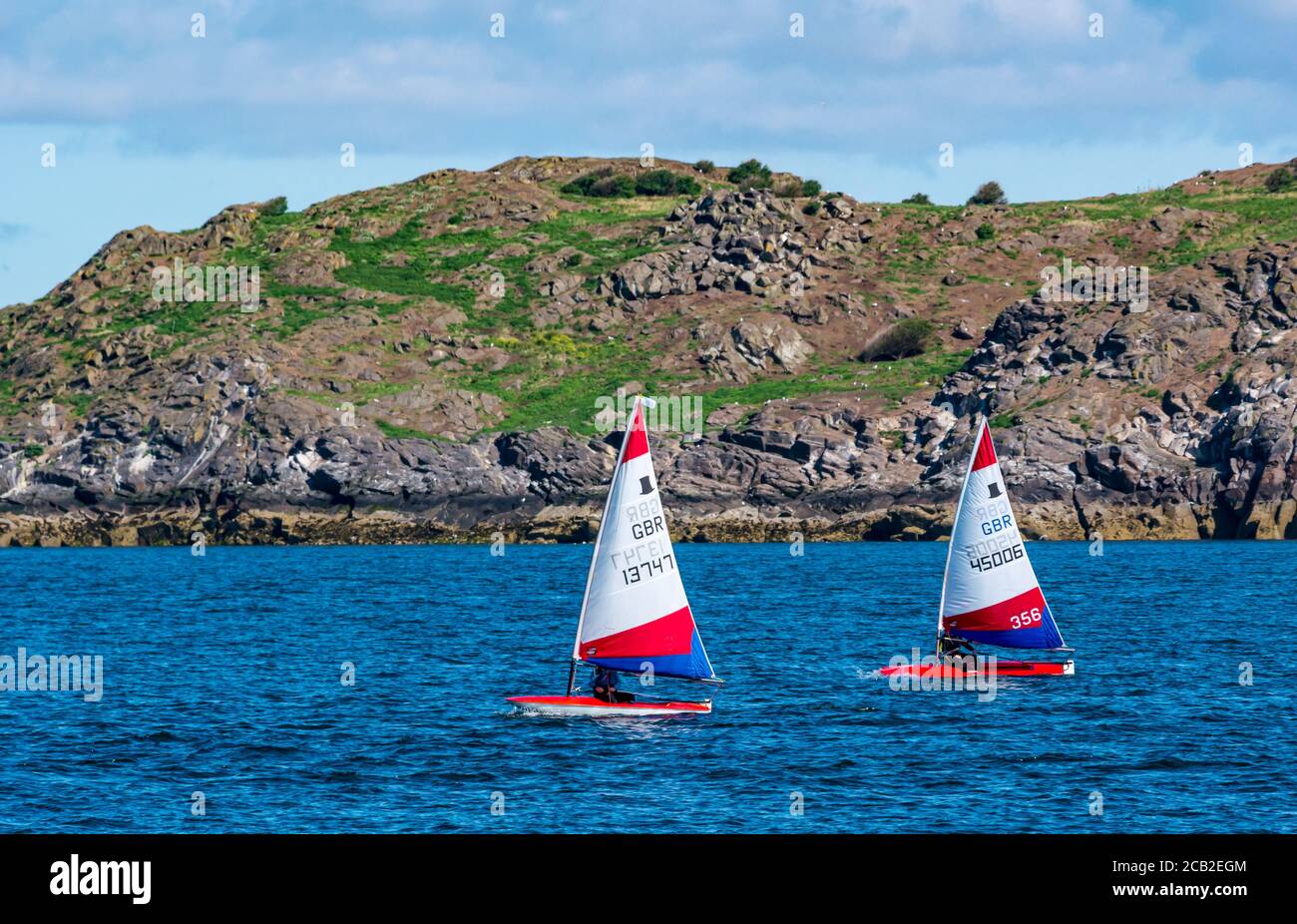 Ragazzi vela topper vela gommoni in regata di vela ELYC corsa di Craigleith Island a Firth of Forth, Scozia, Regno Unito Foto Stock