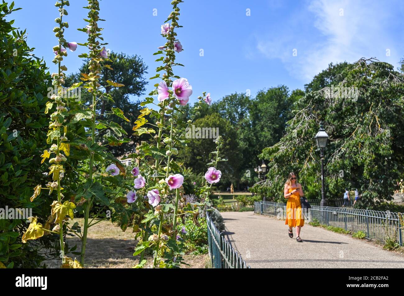 Brighton UK 10 agosto 2020 - i visitatori godono del sole caldo nei Royal Pavilion Gardens di Brighton, mentre le temperature raggiungono di nuovo gli anni 30 in alcune parti del Sud Est : Credit Simon Dack / Alamy Live News Foto Stock