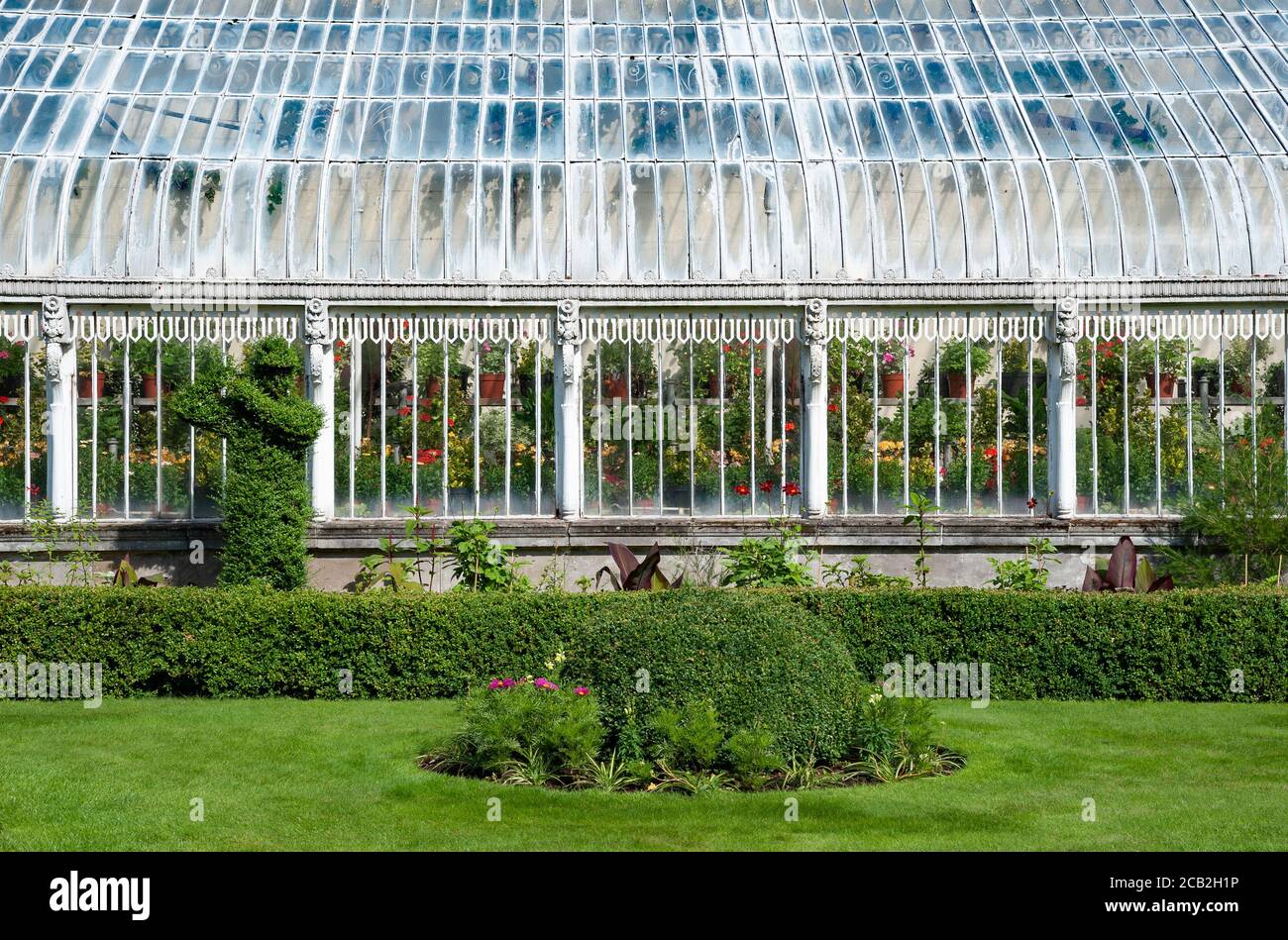 The Palm House in Botanical Garden a Belfast, Public Garden Northern Ireland, UK Foto Stock