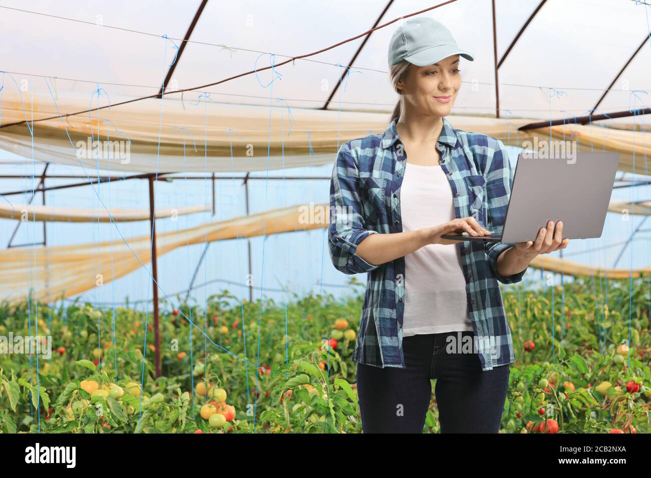 Giovane donna con un computer portatile all'interno di una serra di pomodoro Foto Stock