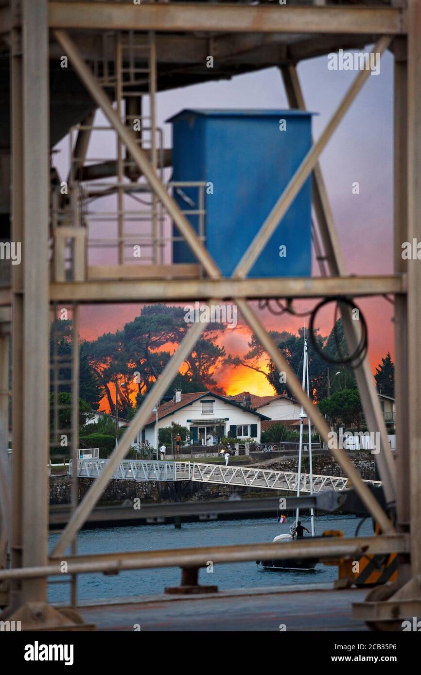 L'arson della foresta di Chiberta che si verificò il 2020 luglio 30 (Francia) visto dal punto panoramico del porto di Bayonne. Wildfire. Blaze. Foto Stock