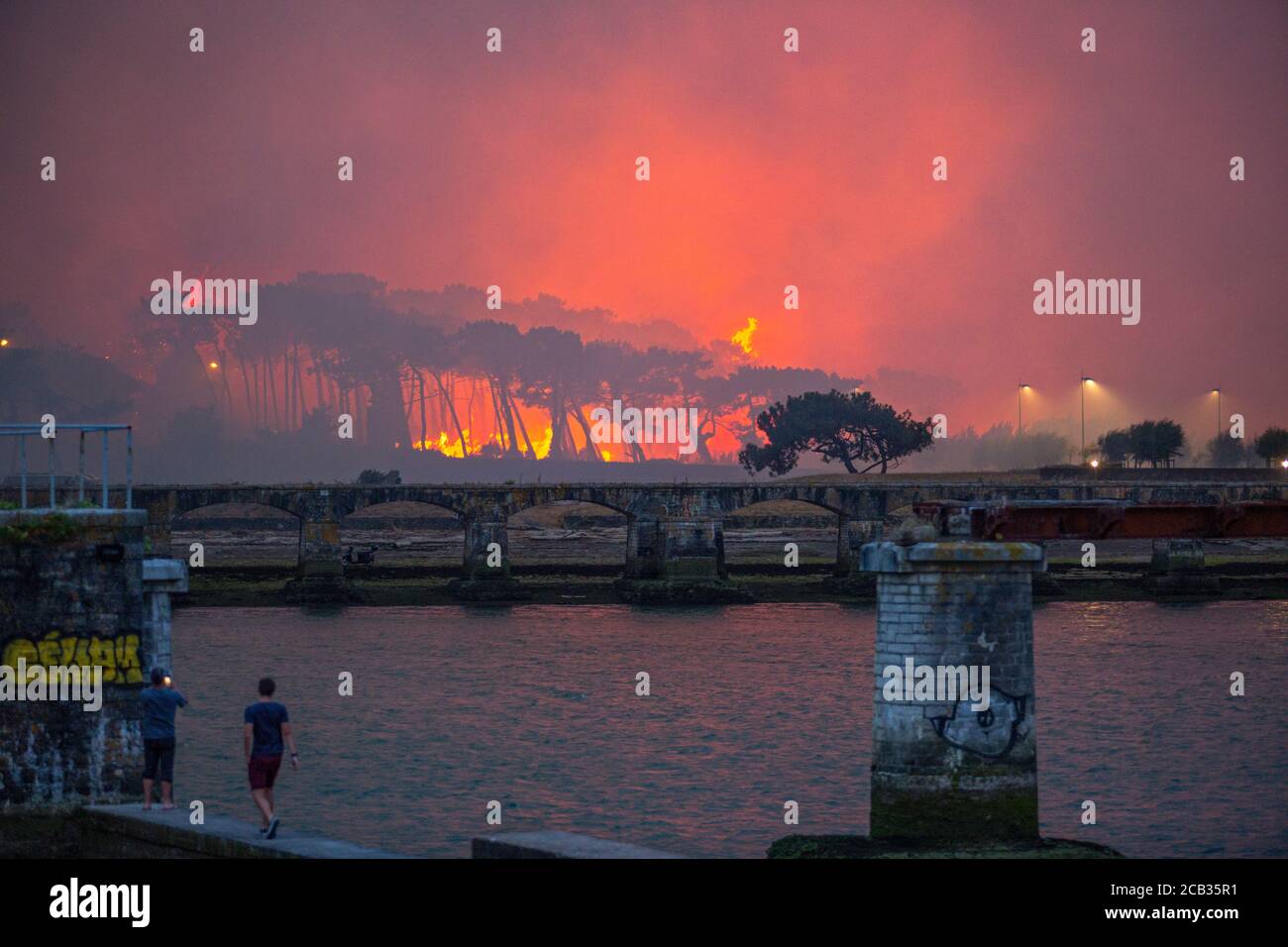 Arson foresta di Chiberta il 2020 luglio 30. L'arson ha devastato 165 ettari di foresta e bruciato 11 case nel cuore di Anglet. Wildfire. Blaze. Foto Stock