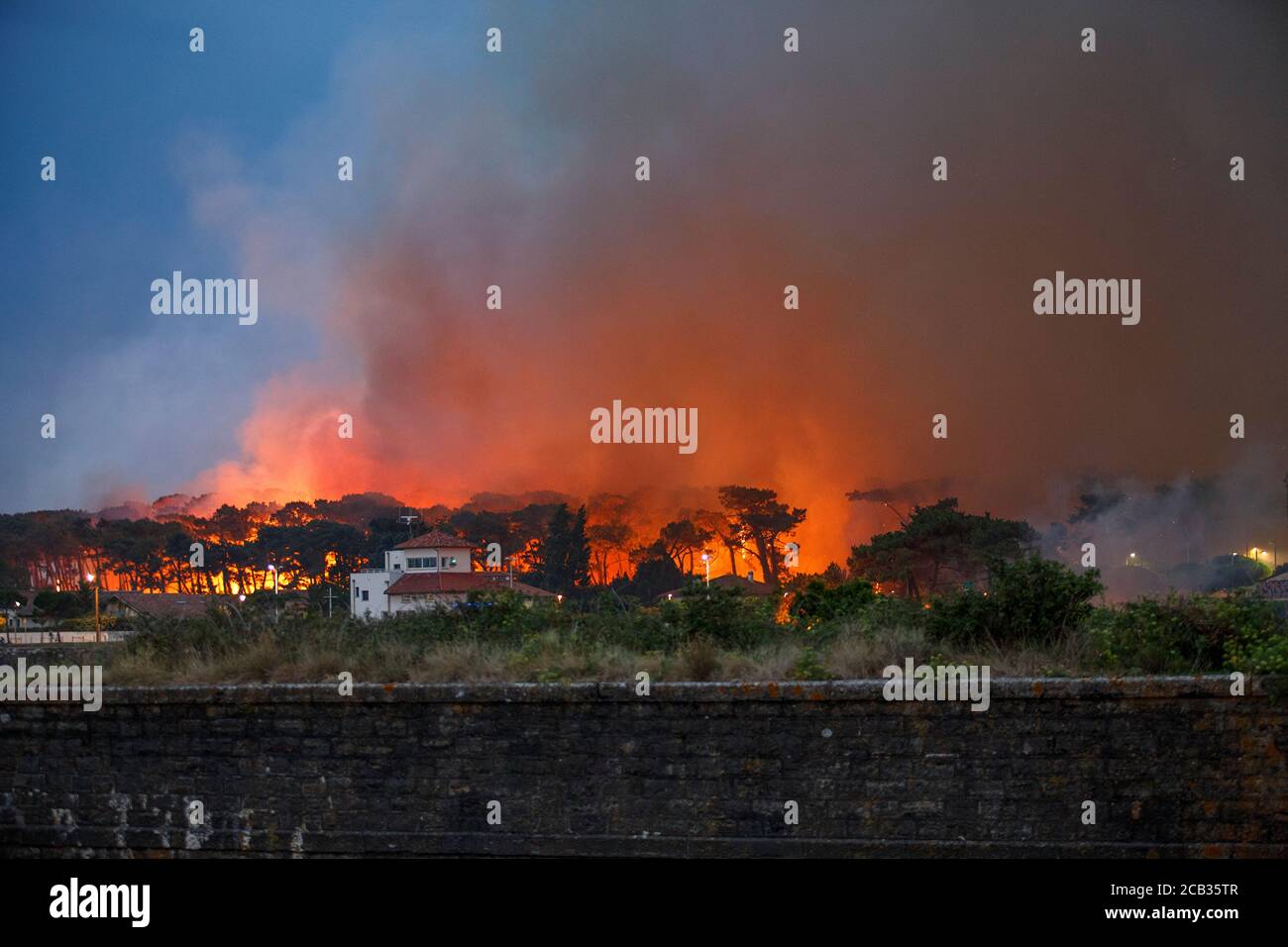 Arson foresta di Chiberta il 2020 luglio 30. L'arson ha devastato 165 ettari di foresta e bruciato 11 case nel cuore di Anglet. Wildfire. Blaze. Foto Stock