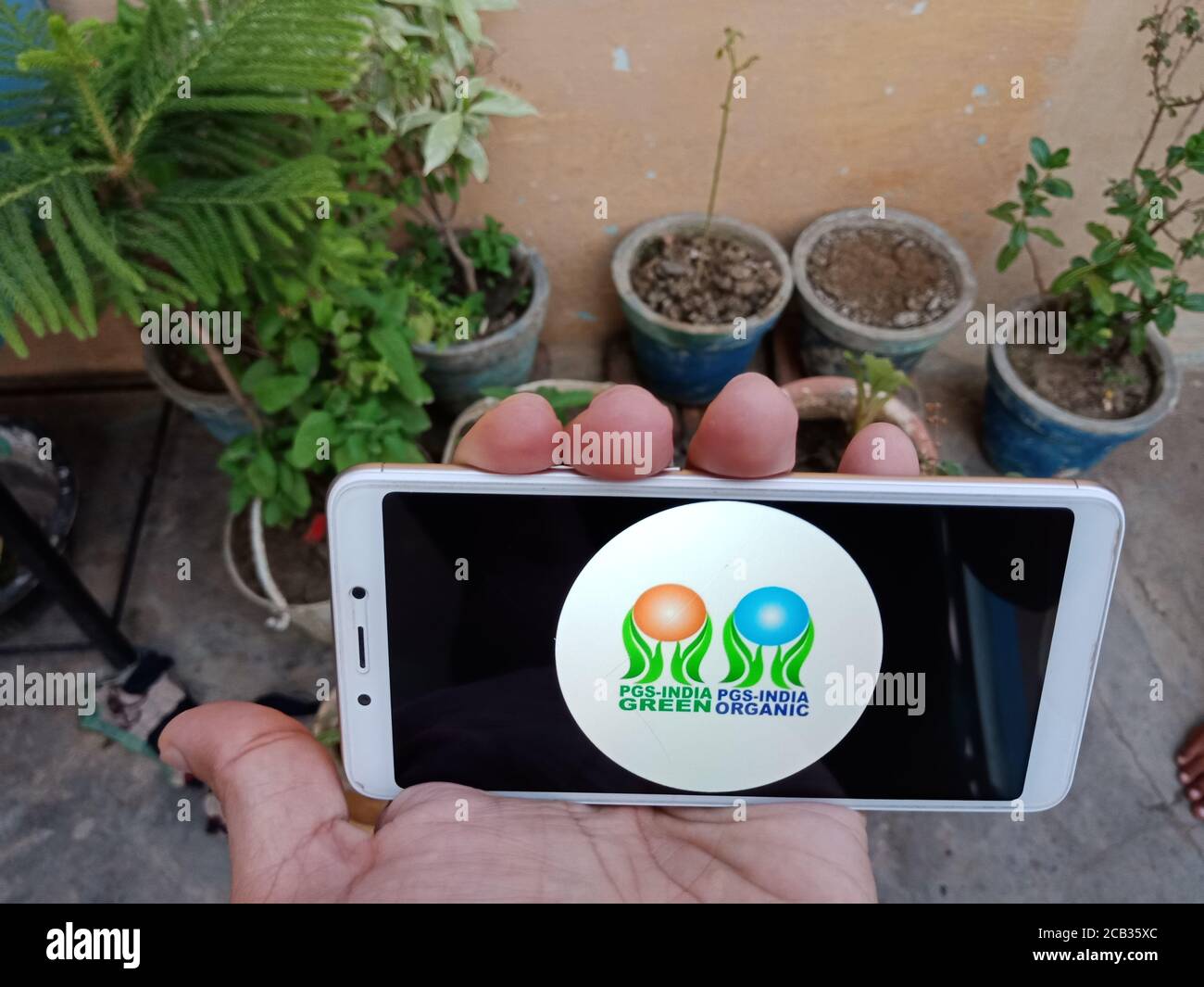 DISTRETTO KATNI, INDIA - 23 MAGGIO 2020: Donna che tiene smartphone con visualizzazione PGS india verde Pgs india logo organico sullo schermo. Governo indiano rul Foto Stock