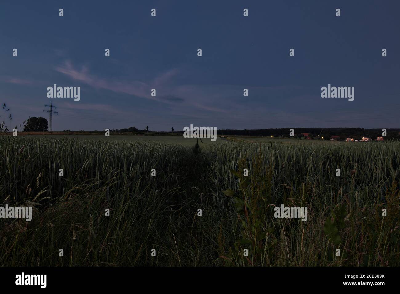 Questo piccolo senso è diritto attraverso il campo alla sera al houre blu. Foto Stock Questo piccolo senso è diritto attraverso il campo alla sera al houre blu. Foto Stock