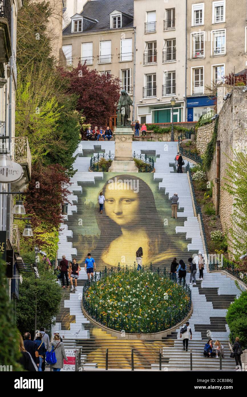 Francia, Loir et Cher, Valle della Loira Patrimonio Mondiale dell'UNESCO, Blois, riproduzione monumentale in trompe-l'oeil del ritratto di Mona Lisa o. Foto Stock