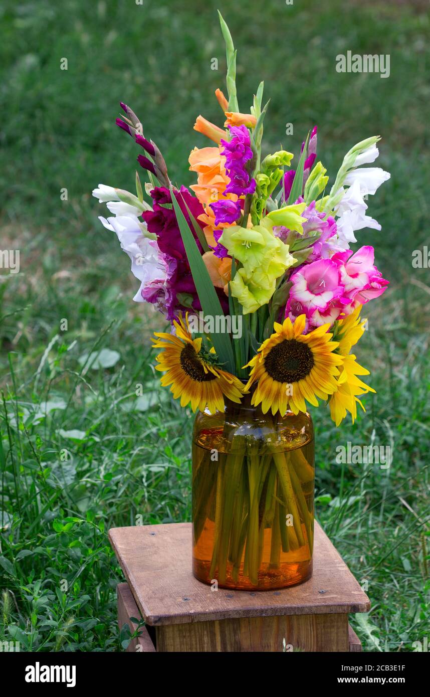 Un bouquet di gladioli multicolore in vaso di vetro. Biglietto d'auguri. Foto Stock