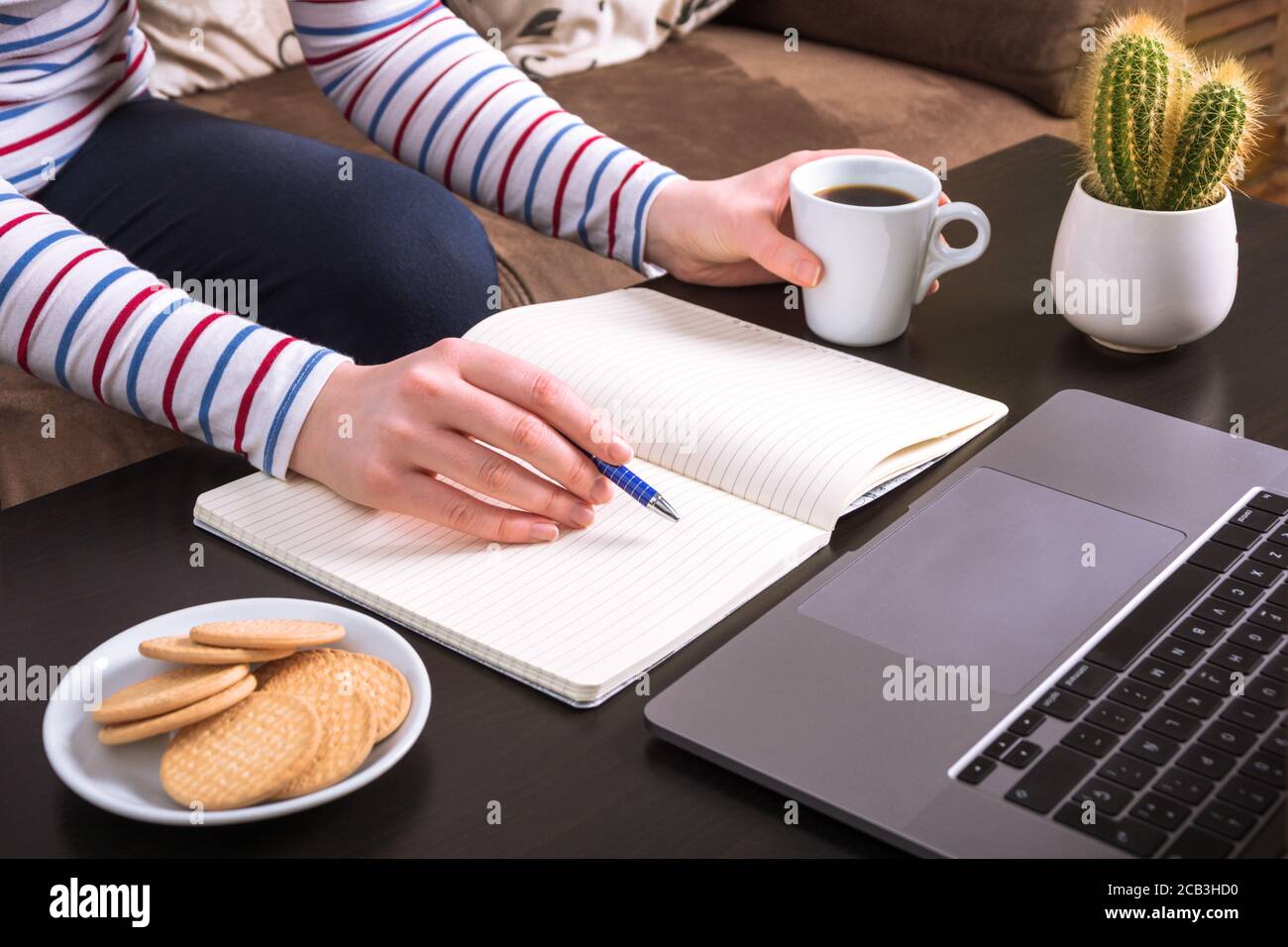 Mani di una giovane donna, che studia e lavora online, circondata da laptop e cactus. Vestibilità casual Foto Stock Mani di una giovane donna, che studia e lavora online, circondata da laptop e cactus. Vestibilità casual Foto Stock