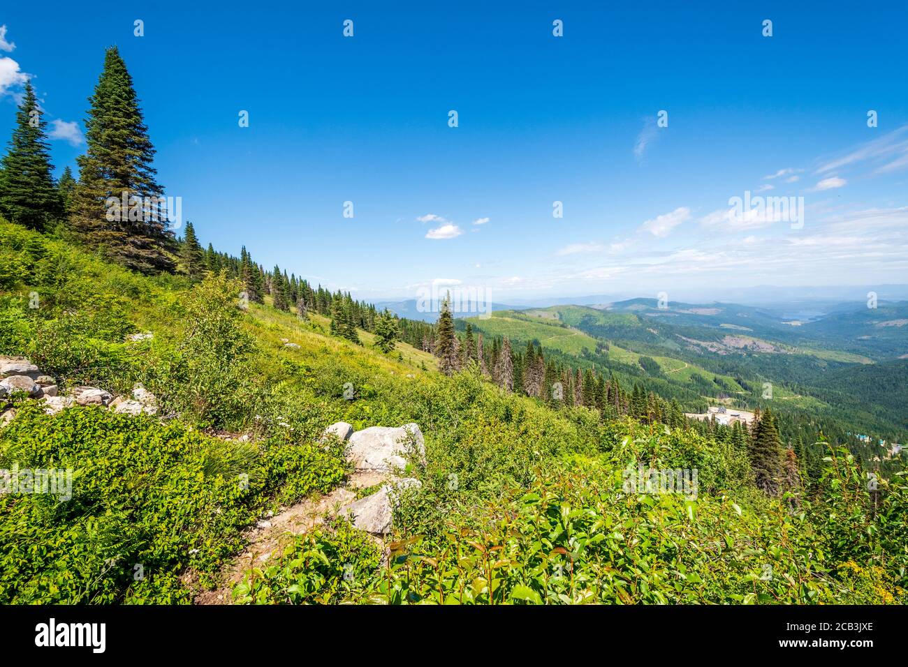 Vista ripida sulle montagne e sul lago dalla vetta del Mt Spokane state Park che si affaccia sulla zona di Spokane Washington in una giornata estiva. Foto Stock
