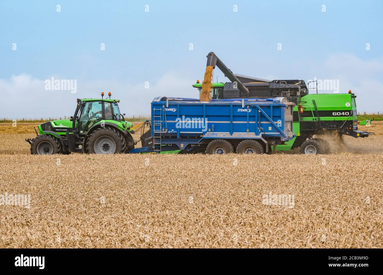 East Lothian, Scozia, Regno Unito, 10 agosto 2020. Regno Unito Meteo: Un campo di grano è raccolto da una mietitrebbia Deutz-Fahr con un ractor che raccoglie il grano a Mungoswells in estate con un rimorchio trattore che raccoglie il grano Foto Stock