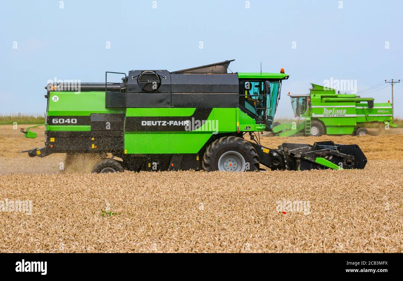 East Lothian, Scozia, Regno Unito, 10 agosto 2020. Tempo nel Regno Unito: Un campo di grano viene raccolto da una mietitrebbia Deutz-Fahr a Mungoswells in estate Foto Stock