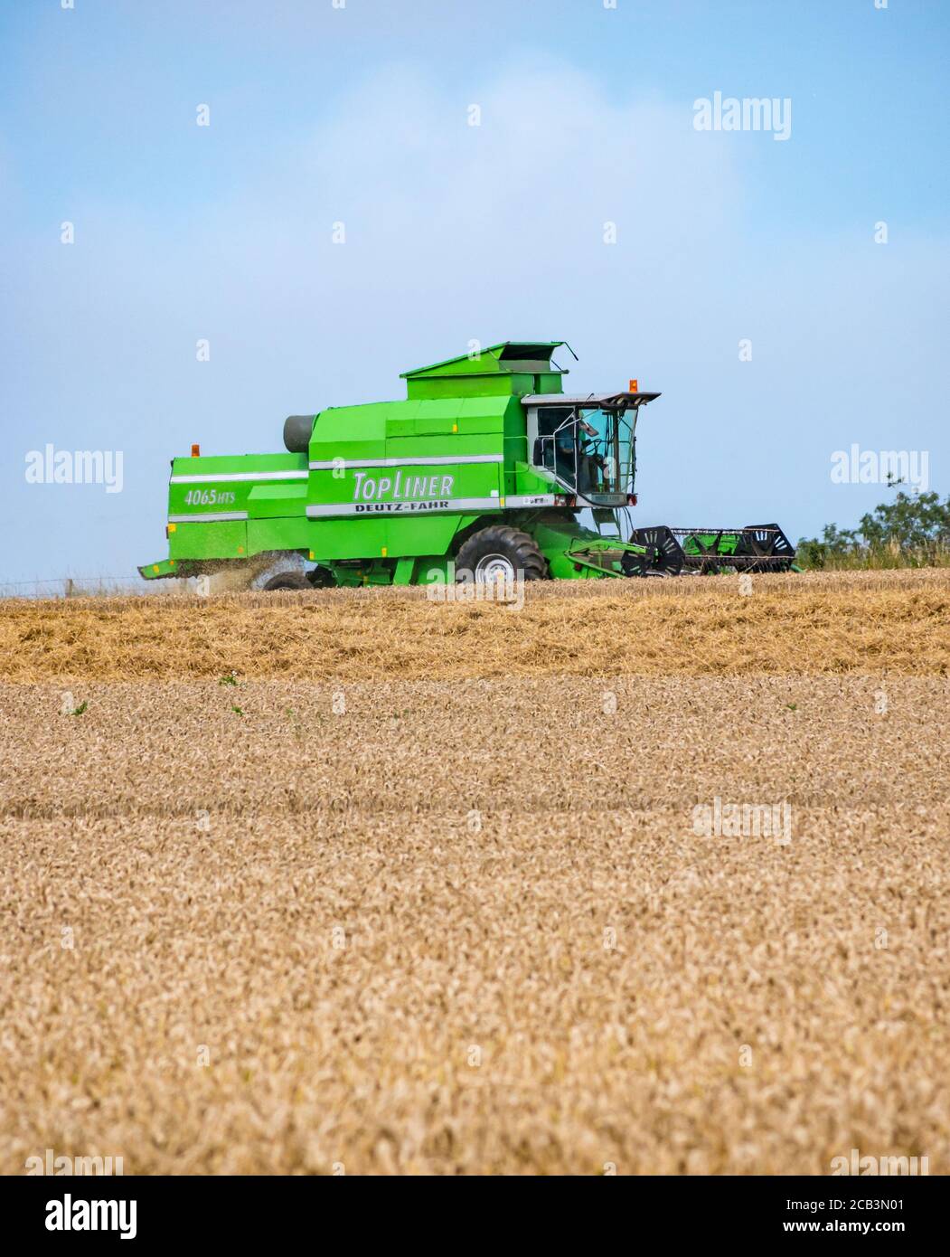 East Lothian, Scozia, Regno Unito, 10 agosto 2020. Tempo nel Regno Unito: Un campo di grano viene raccolto da una mietitrebbia Deutz-Fahr a Mungoswells in estate Foto Stock