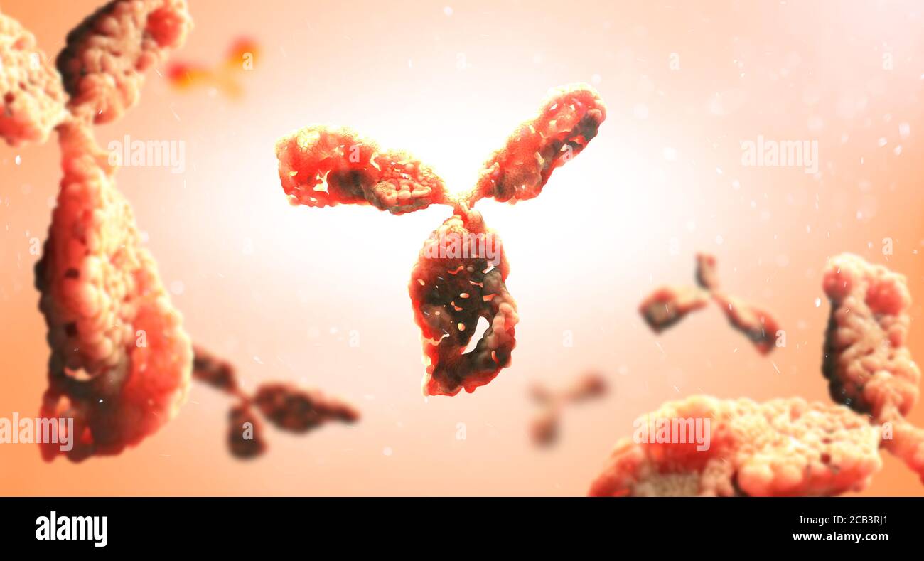 Modello molecolare di anticorpo che partecipa alla difesa immunitaria. Molecola di immunoglobulina su sfondo chiaro, illustrazione 3D Foto Stock