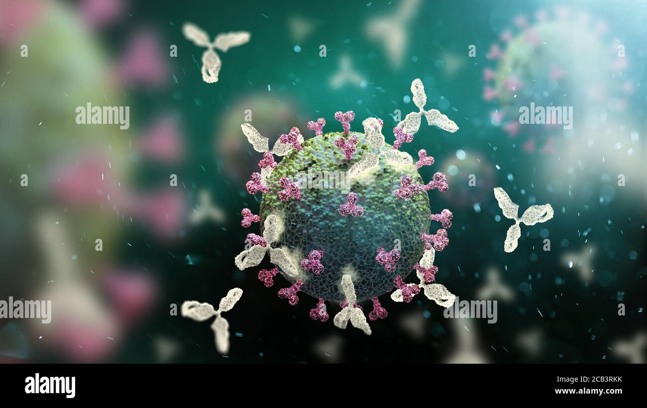 Anticorpi che attaccano il virus SARS-COV-2, illustrazione 3D per il trattamento, la diagnosi e la prevenzione del coronavirus cinese COVID19 Foto Stock