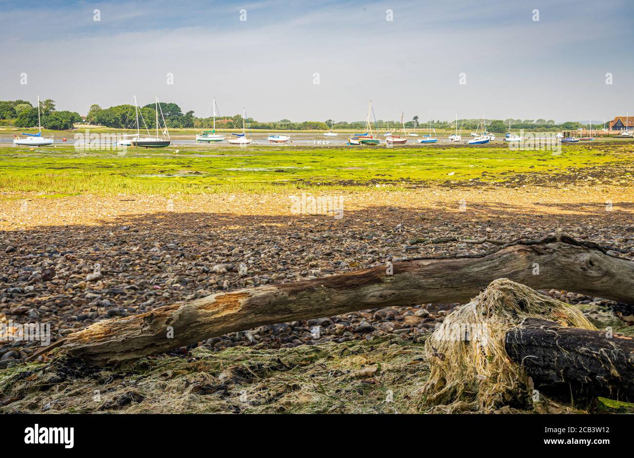 Tronco d'albero su mudflats a bassa marea con barche a vela in distanza Foto Stock