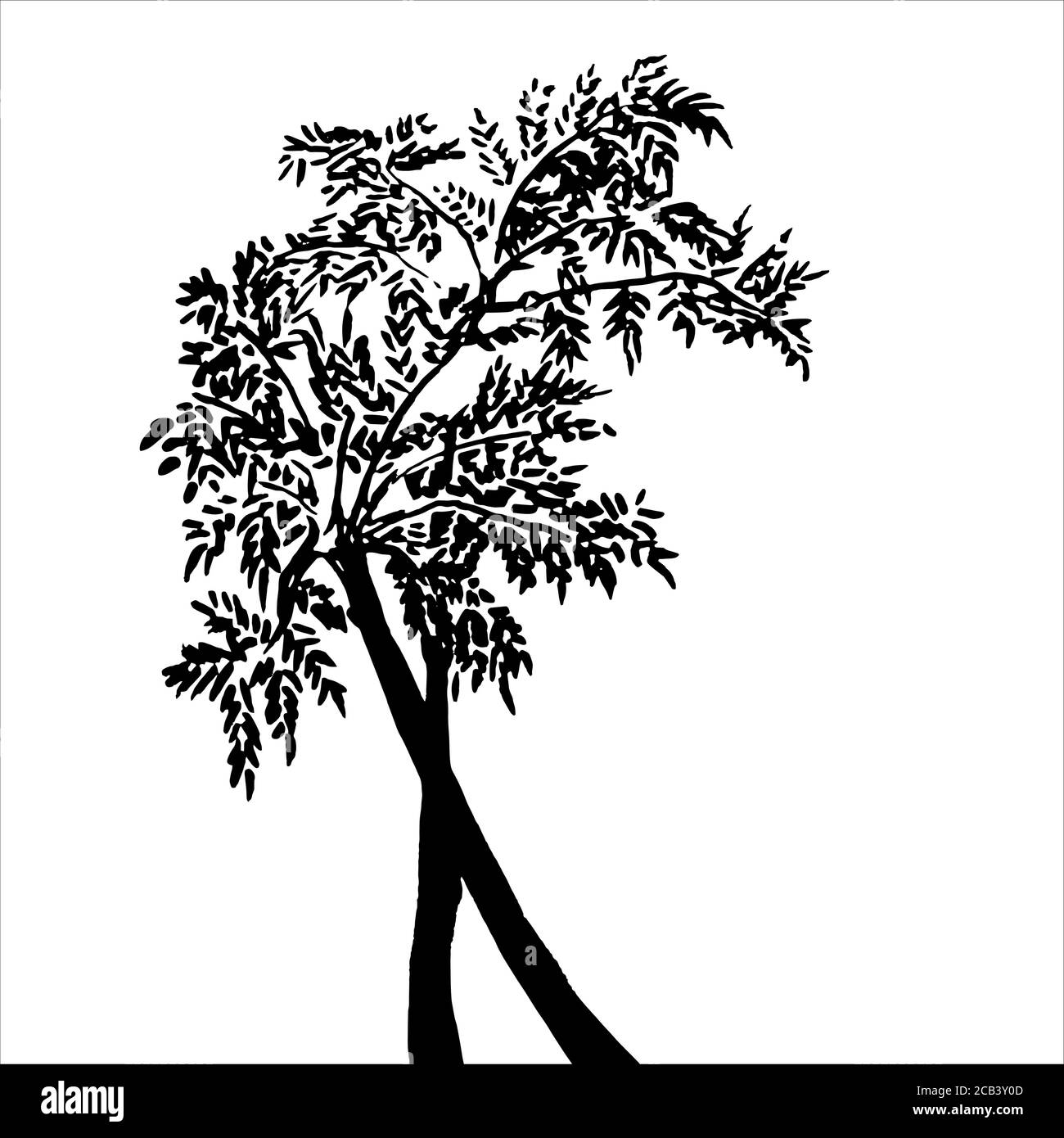 Elemento vettoriale per silhouette ad albero in bianco e nero disegnato a mano con inchiostro. Illustrazione Vettoriale