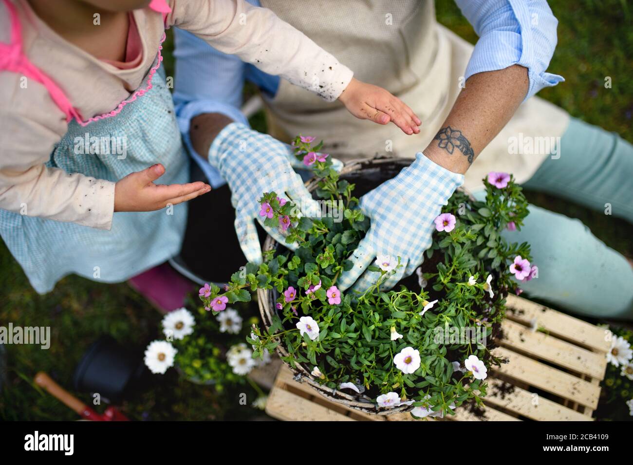 Vista dall'alto della nonna anziana con la nipote che fa giardinaggio all'aperto in estate. Foto Stock