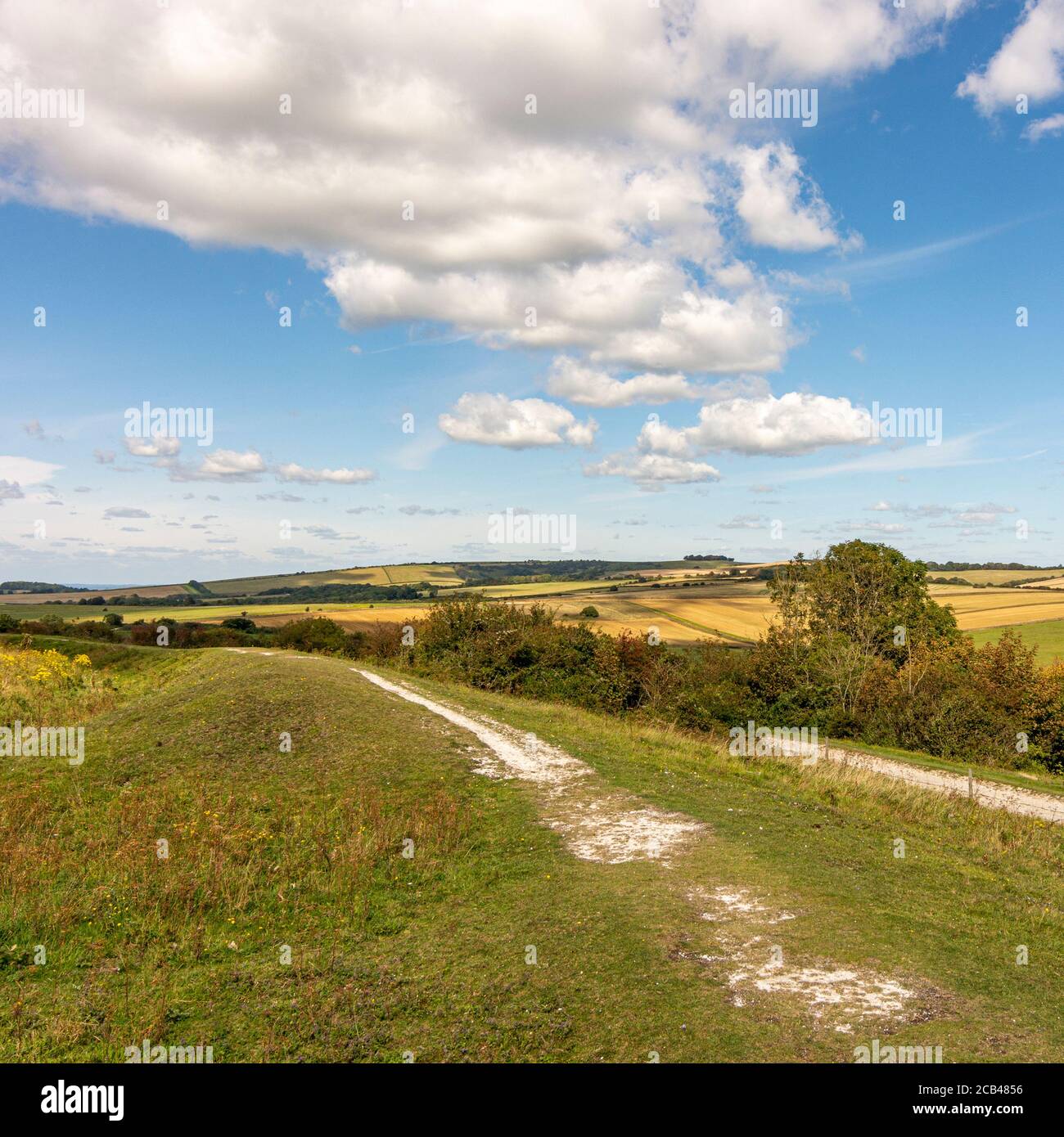 Il bastione nord est superiore dell'antica collina fortificazione dell'età del ferro di Cissbury Ring guardando a nord nel South Downs National Park, West Sussex, Regno Unito. Foto Stock