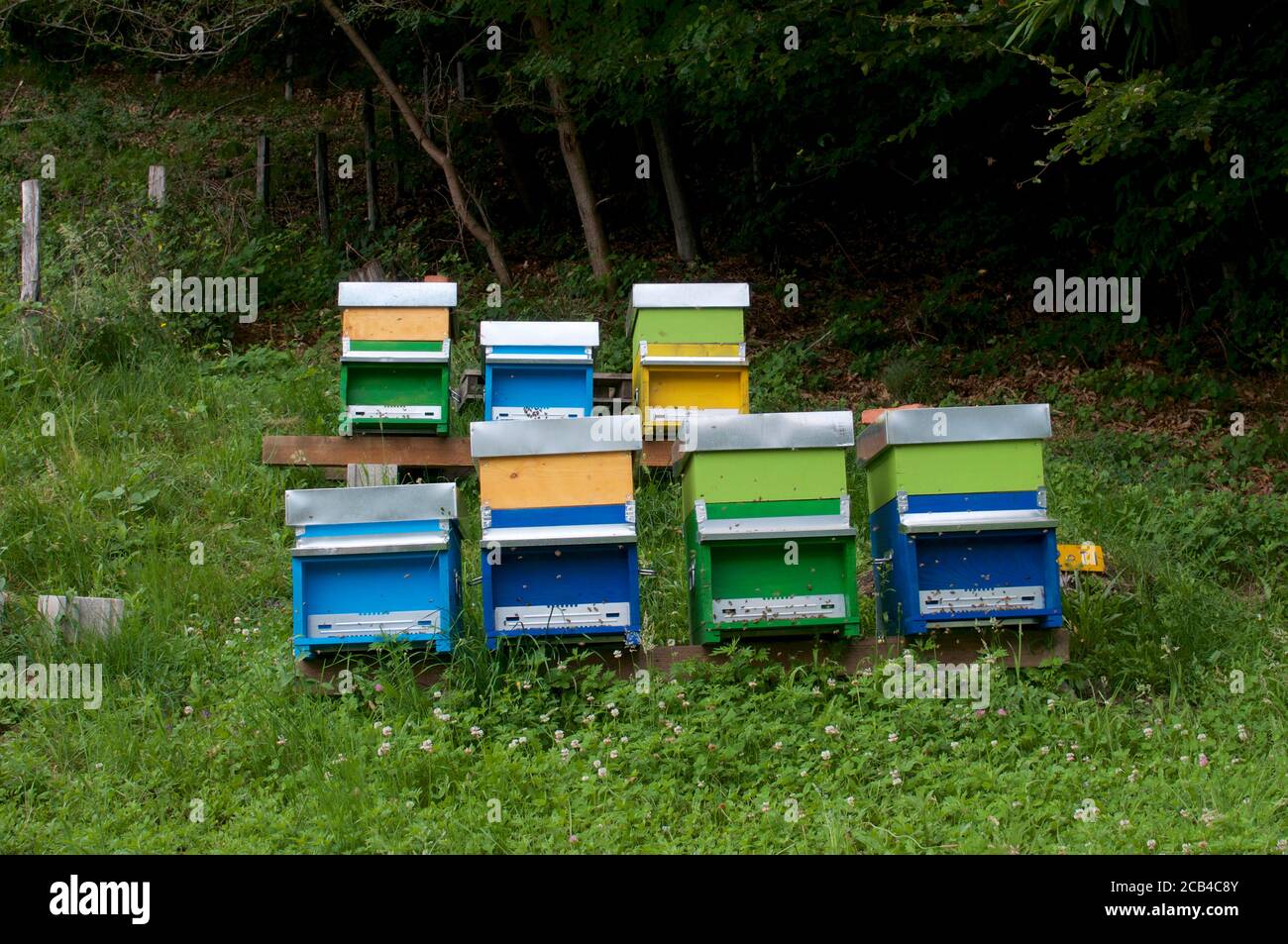 Vista di alcuni colorati alveari situati vicino ad un bosco nella Valle della Capriasca nel Canton Ticino, Svizzera Foto Stock