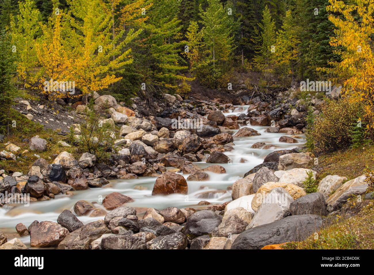 Rambpart Creek all'inizio dell'autunno, Banff National Park, Alberta, Canada Foto Stock