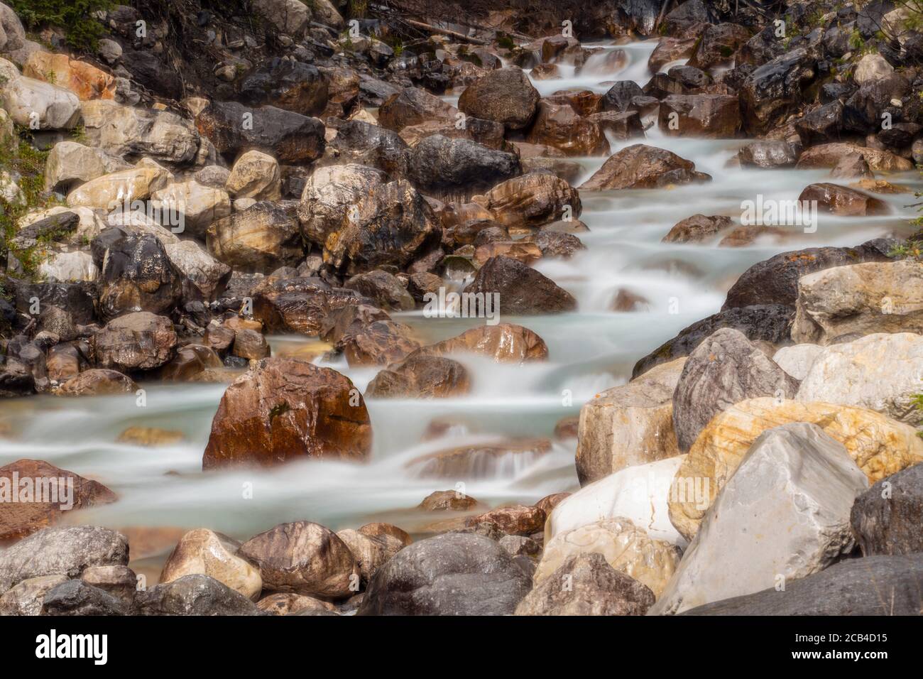 Rambpart Creek all'inizio dell'autunno, Banff National Park, Alberta, Canada Foto Stock