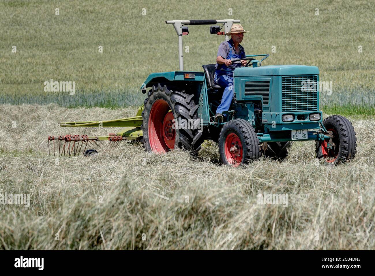 Trossingen, Germania, 25 giugno 2020. Coltivatore biologico con il suo vecchio trattore e rastrello che lavora il fieno. L'andana è necessaria per lavorare ulteriormente il fieno. Foto Stock