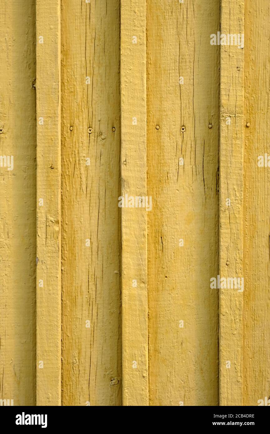 Primo piano sfondo di legno giallo. I listelli di legno sono gialli. Superficie in rilievo di tavole di legno verniciate. Foto Stock