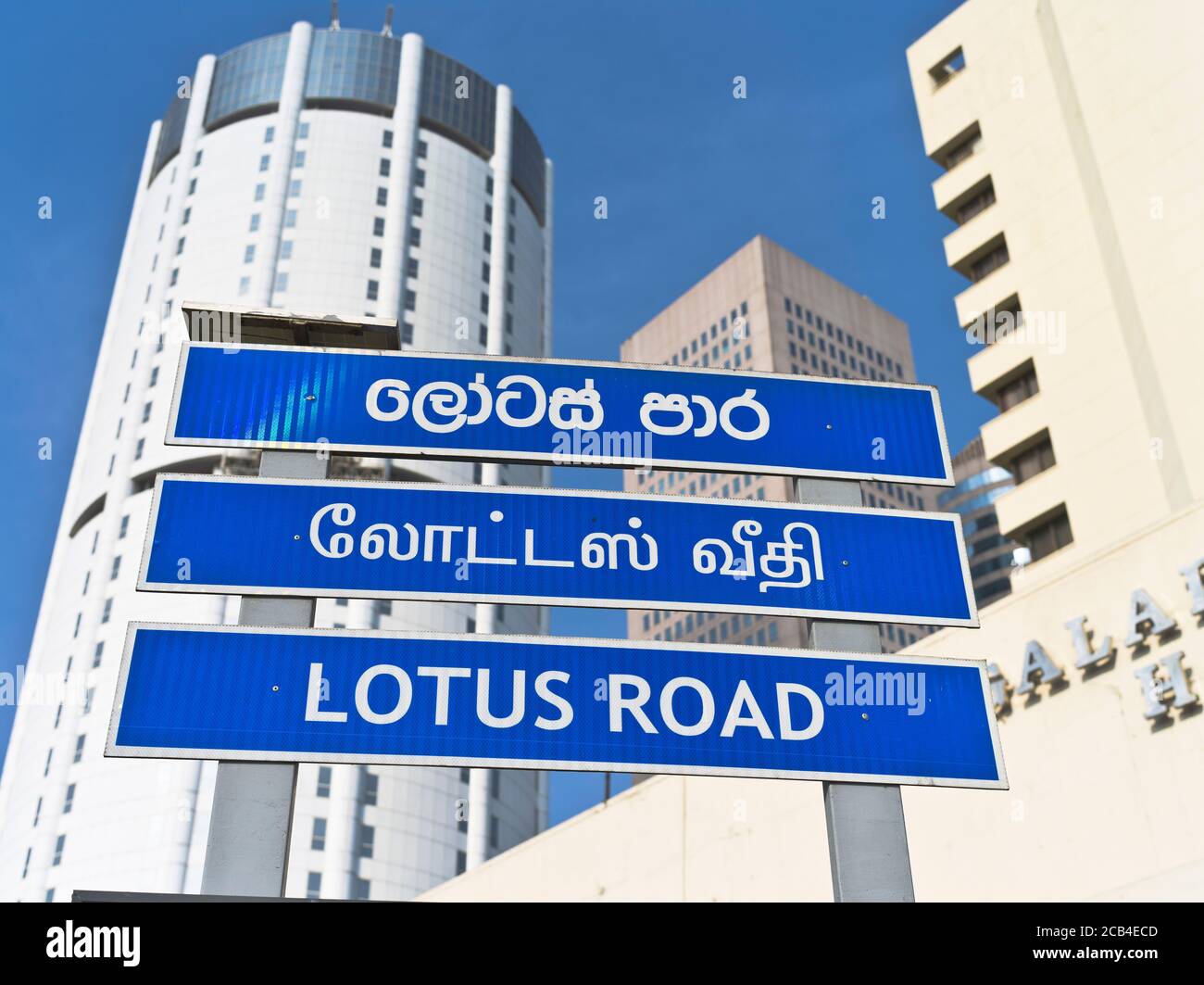 dh Lotus Road cartello COLOMBO CITY SRI LANKA multilingue Segni trilingue tre lingue Sinhala Tamil lingua inglese Foto Stock