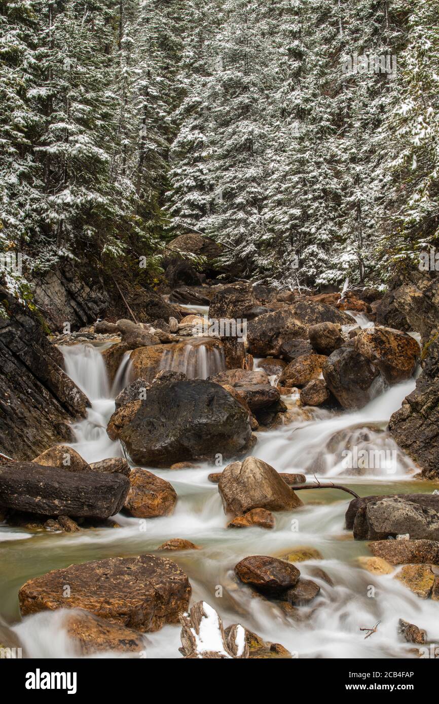 Sherbrooke Creek con neve fresca, Banff National Park, Alberta, Canada Foto Stock