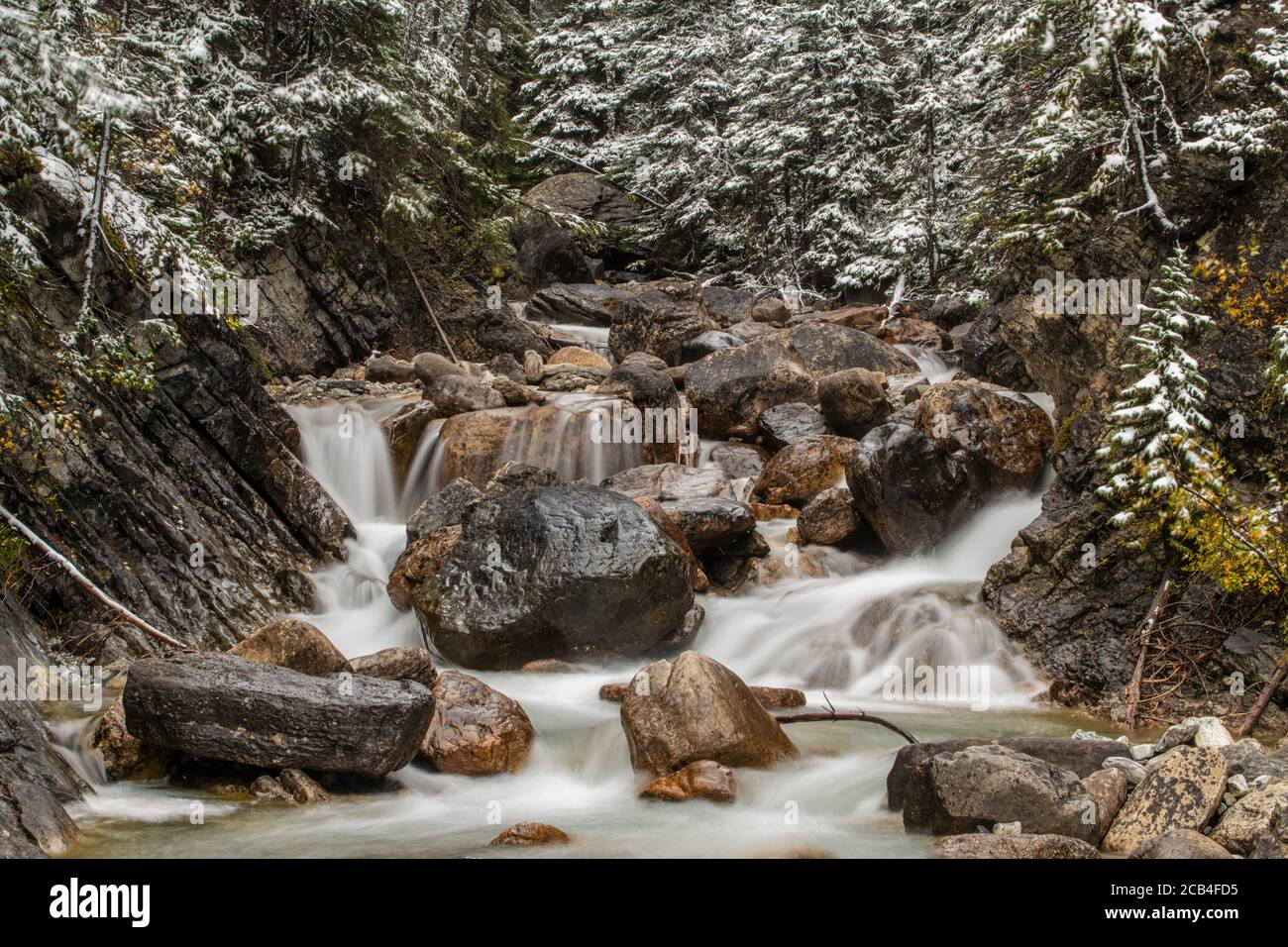 Sherbrooke Creek con neve fresca, Banff National Park, Alberta, Canada Foto Stock