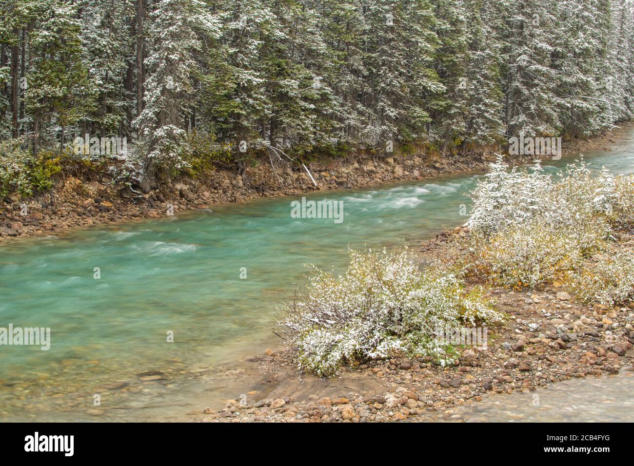 Bow River vicino al Lake Louise Village con neve fresca, Banff National Park, Alberta, Canada Foto Stock