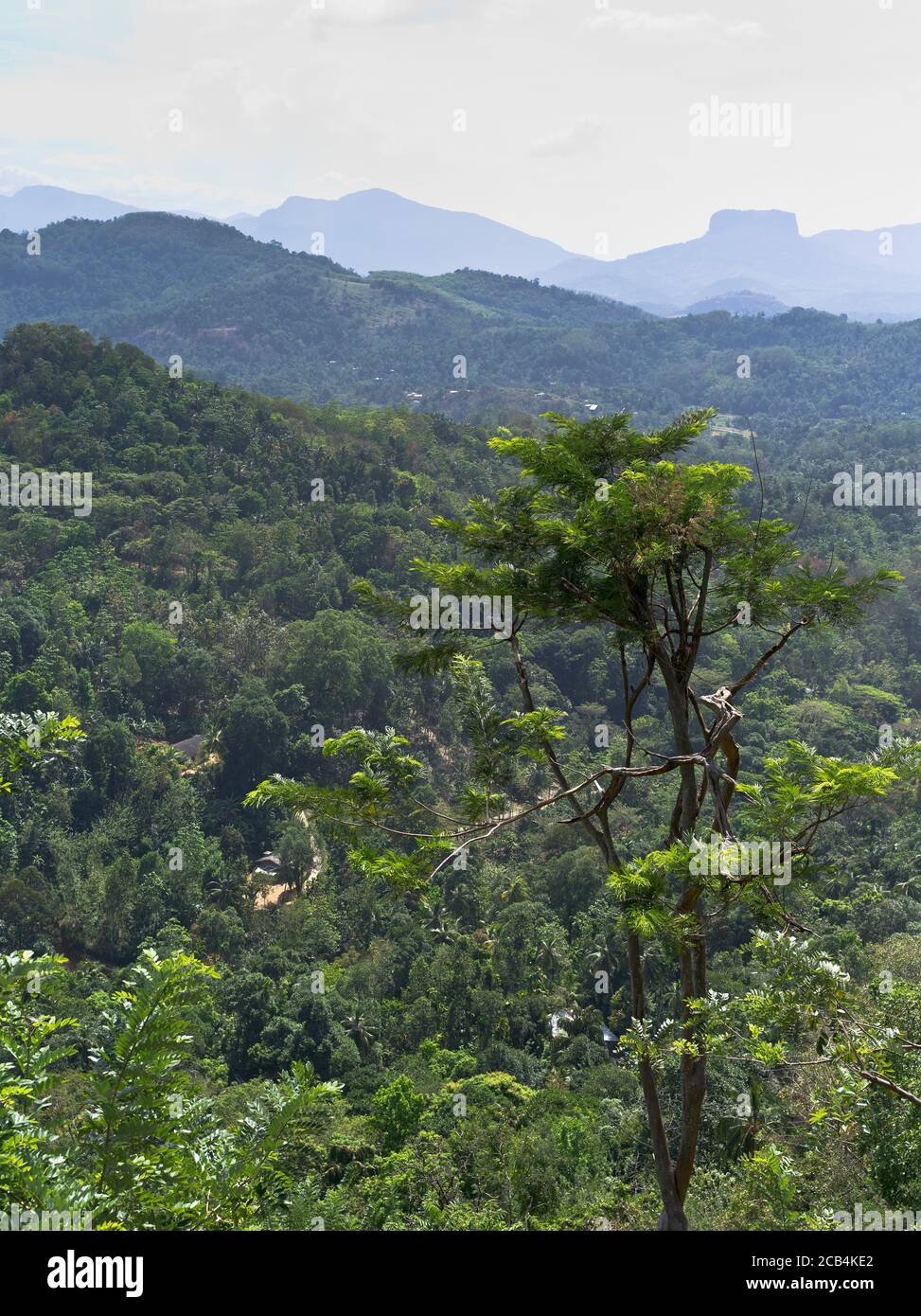 dh Bibbia rock montagna BATHALEGALA SRI LANKA altopiani dello Sri Lanka visualizza Foto Stock