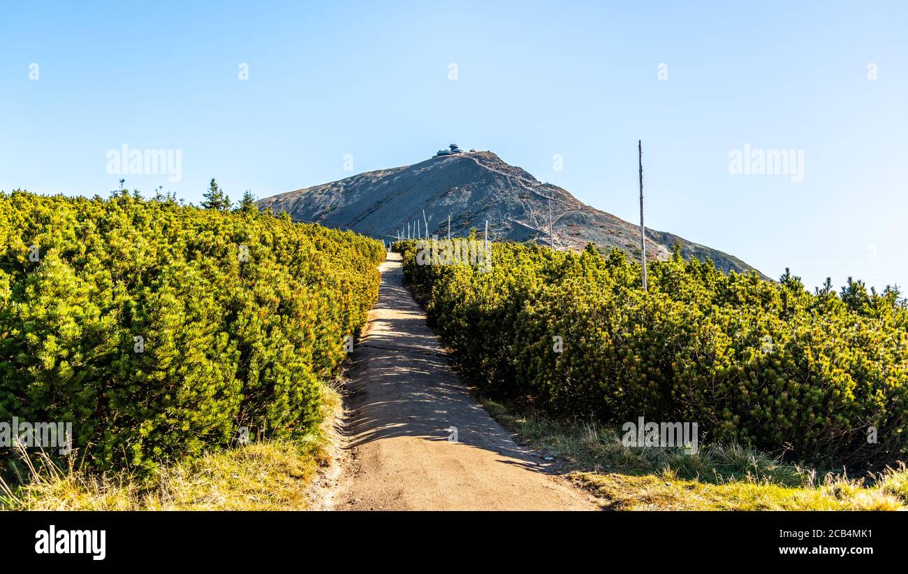 Sulla strada per il Monte Snezka. Montagne giganti, Parco Nazionale di Krkonose, Repubblica Ceca. Foto Stock