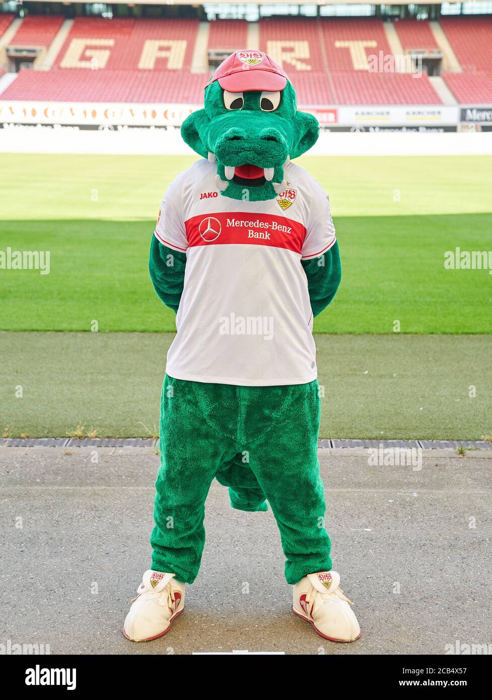 Stoccarda, Germania, 10 agosto 2020, Mascot VFB, Maskottchen Fritzle , al VFB STUTTGART Media Day nel 1. Campionato di calcio tedesco, 1. Bundesliga, Stagione 2020/2021. © Peter Schatz / Alamy Live News Foto Stock