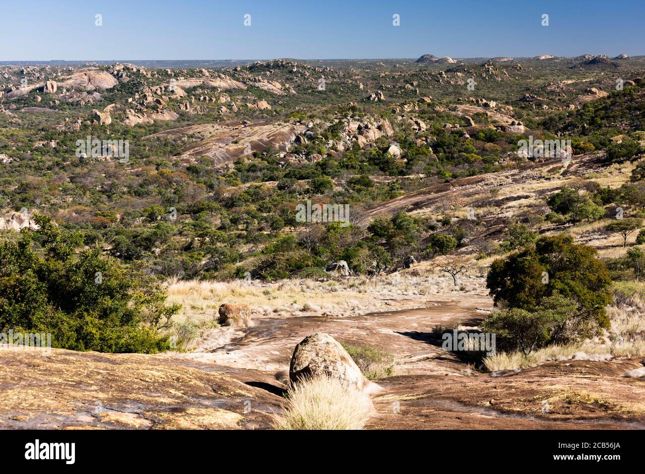 Colline di Matobo, spettacolari formazioni rocciose naturali, dalla collina 'World's View', Matobo National Park, Bulawayo, Matabeleland South, Zimbabwe, Africa Foto Stock