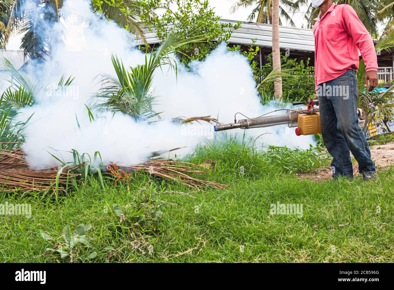 L'uomo si ostina a prevenire la diffusione della febbre dengue in Thailandia Foto Stock