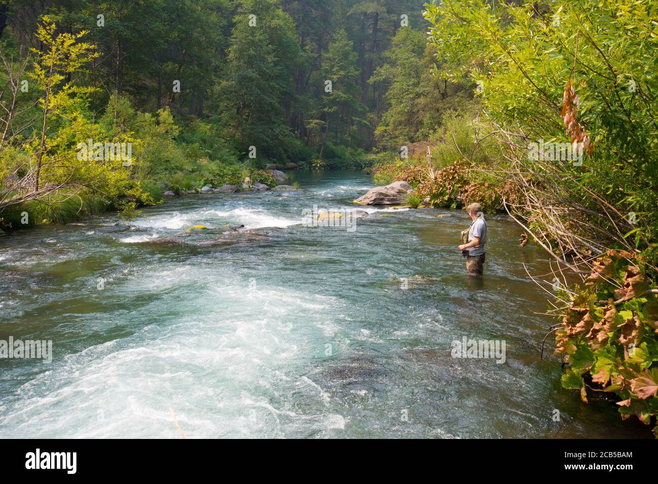 Pesca di mosca umana in fiume con rapide d'acqua fluenti Foto Stock