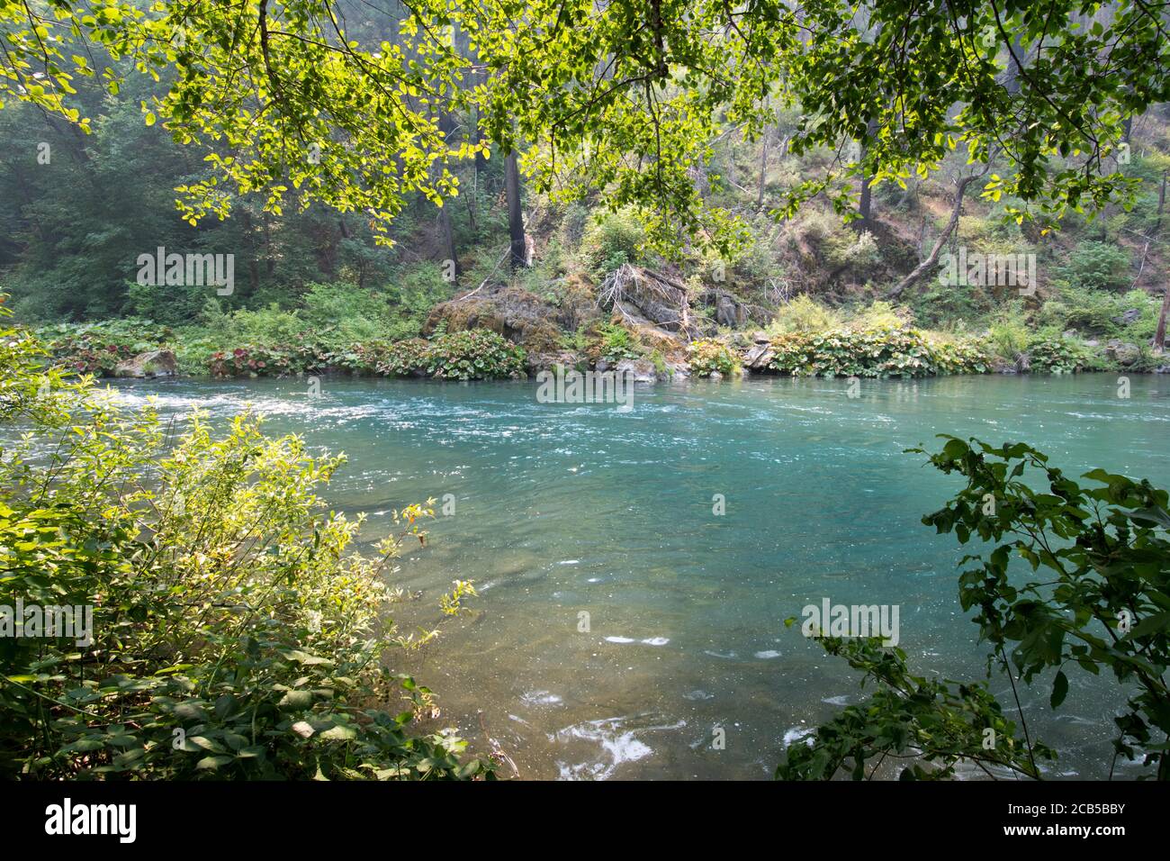 Stagni di acqua blu profondo in fiume con la vegetazione riflessione su superficie dell'acqua Foto Stock