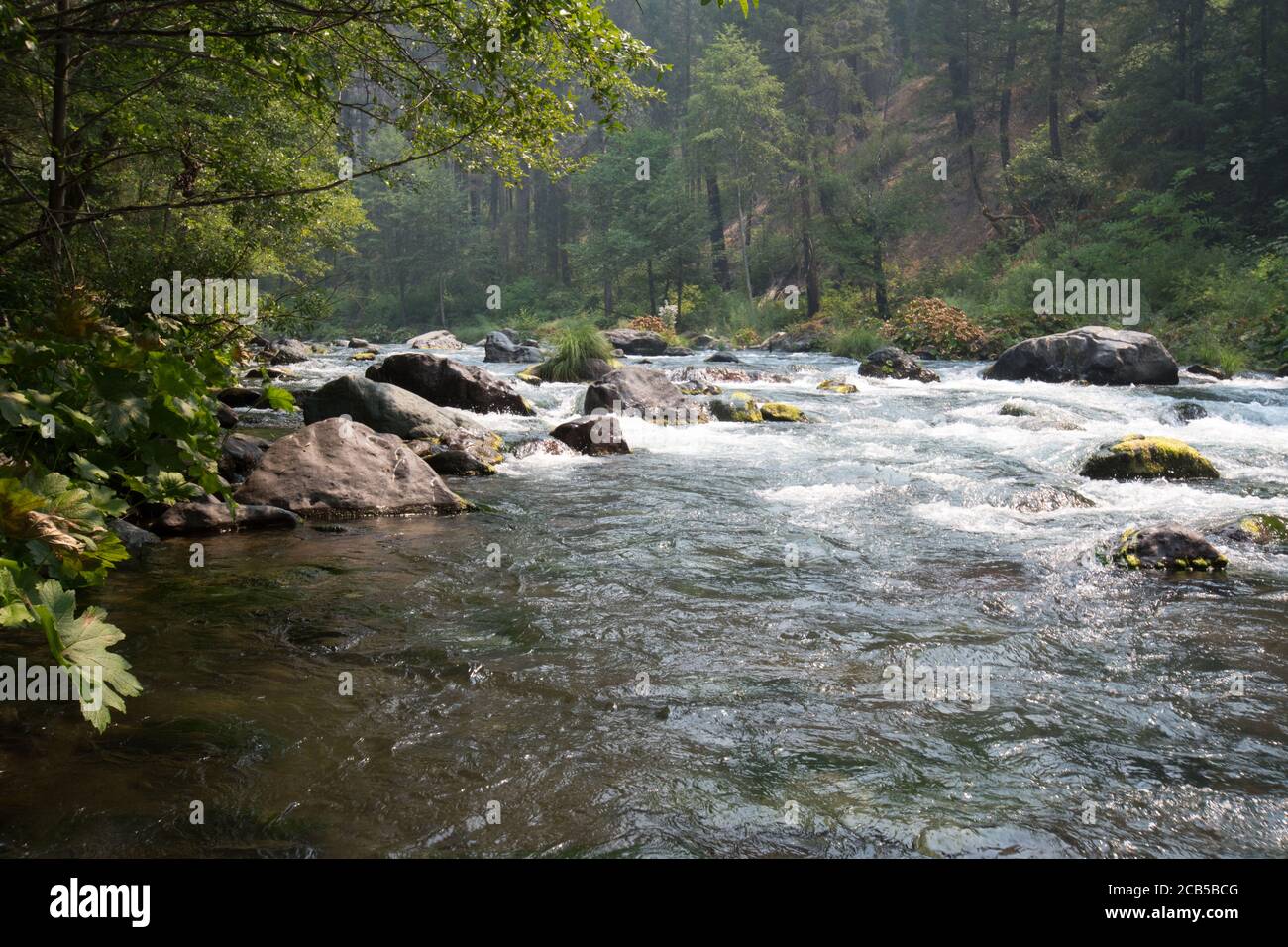 Rapide d'acqua che scorrono a valle nel quadro con la foresta vista su tutte le rive del fiume Foto Stock