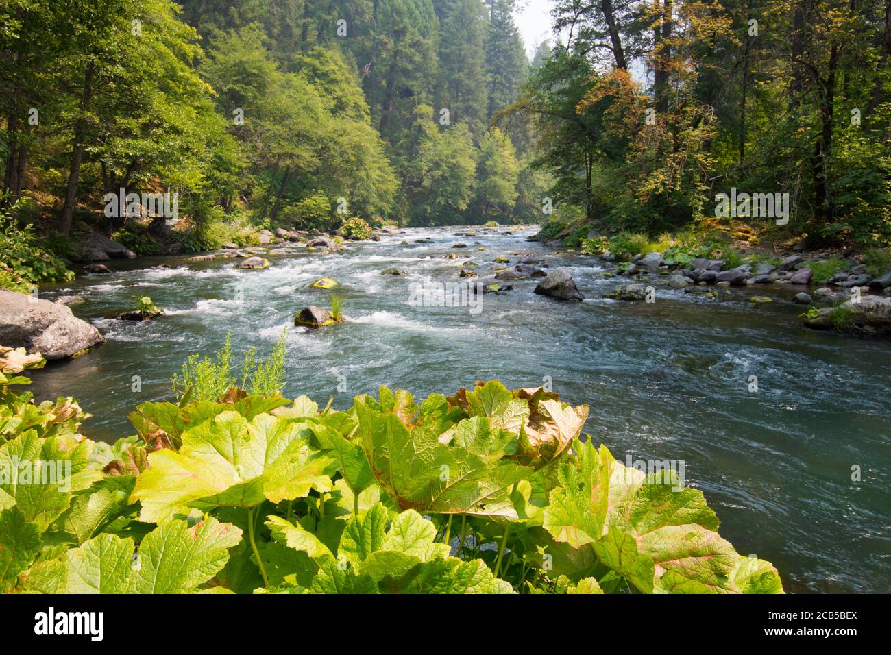 Ampia vista sul fiume dietro l'angolo con acqua che scorre da sezione rocciosa in zona laghetto liscia Foto Stock