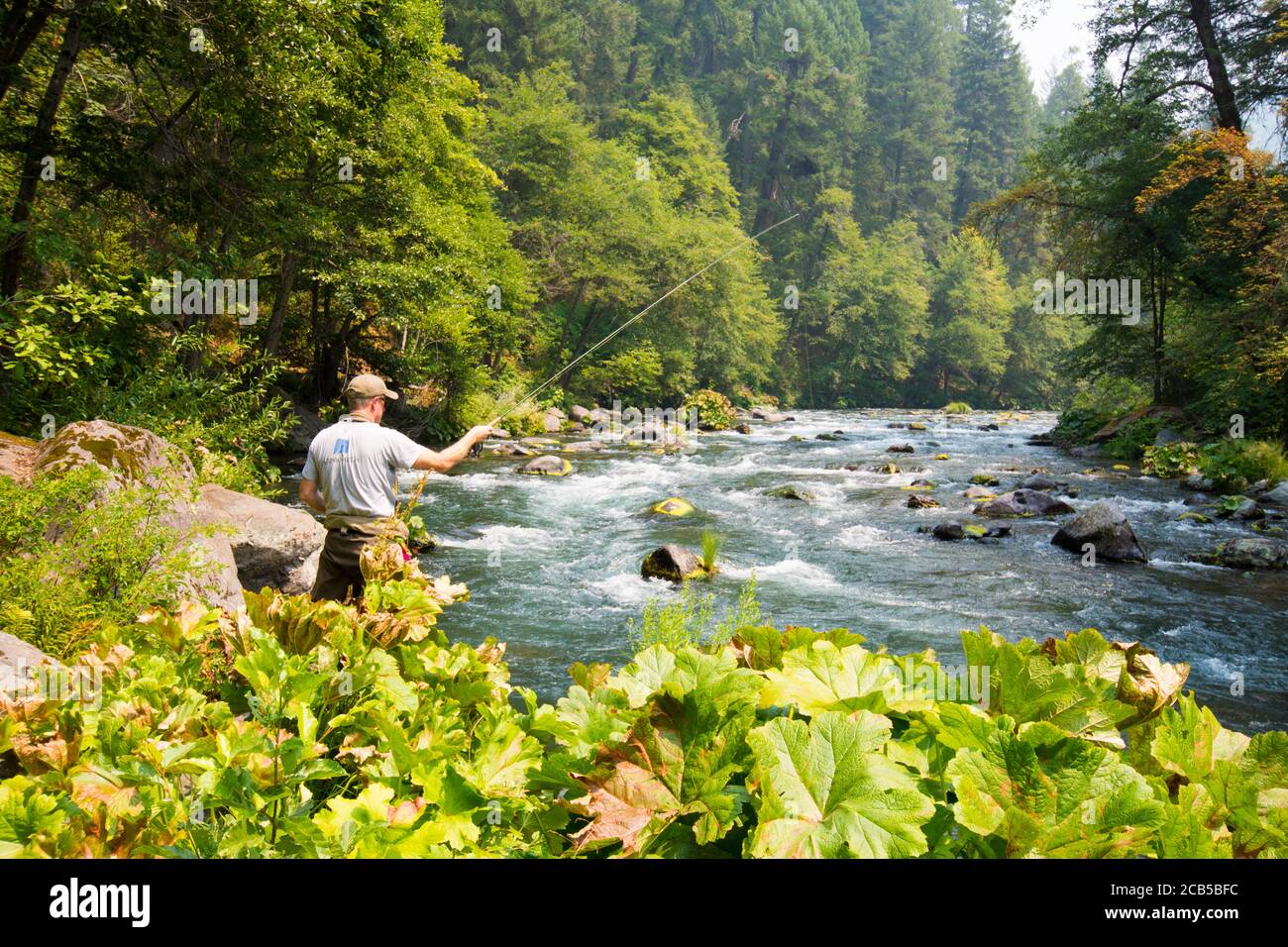 Pesca di mosca umana dal lato del fiume e. vista del fiume a monte Foto Stock