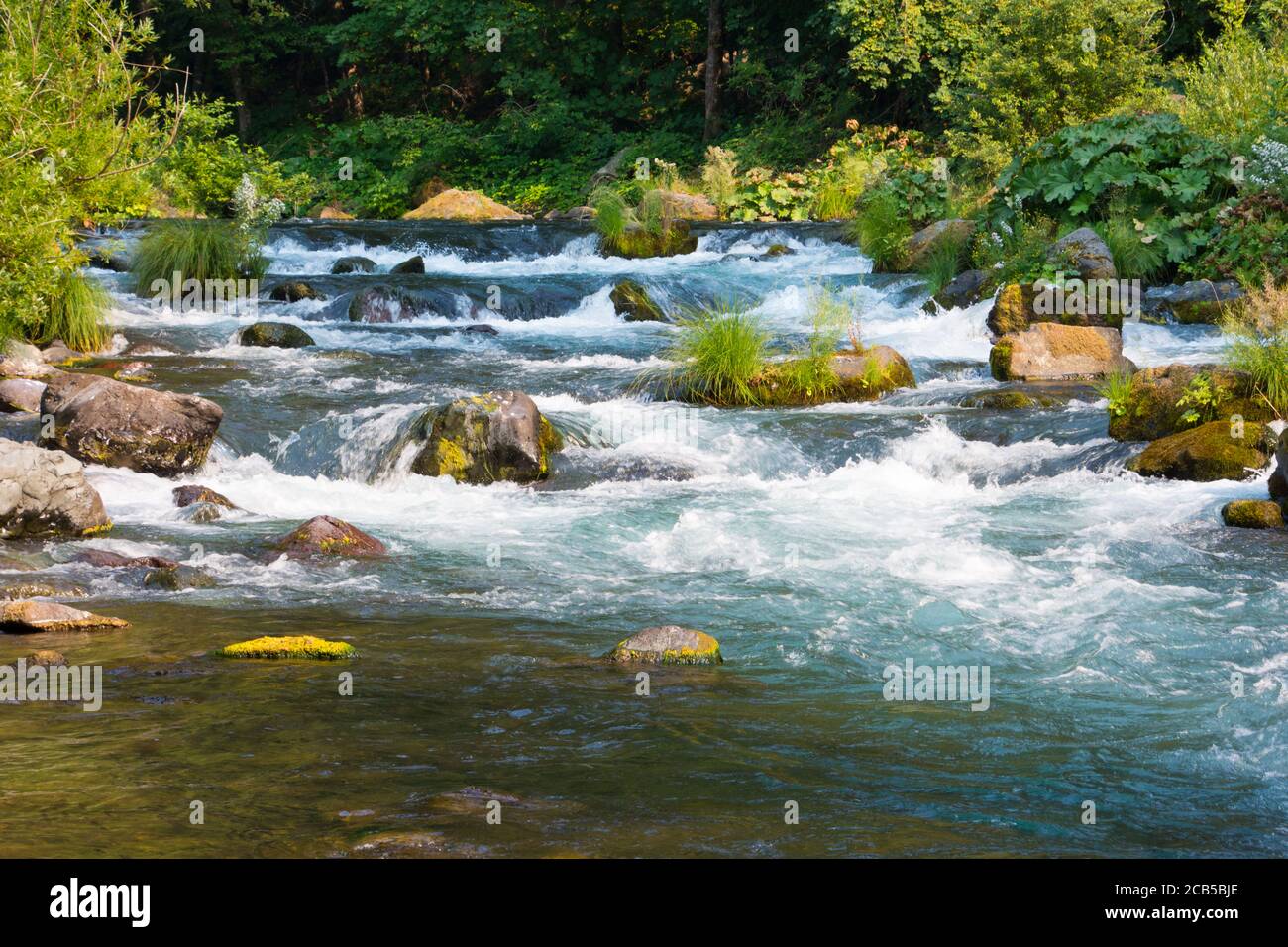 Rapide d'acqua che scorrono a valle nel quadro con verde vista sulla foresta intorno alle rive del fiume Foto Stock