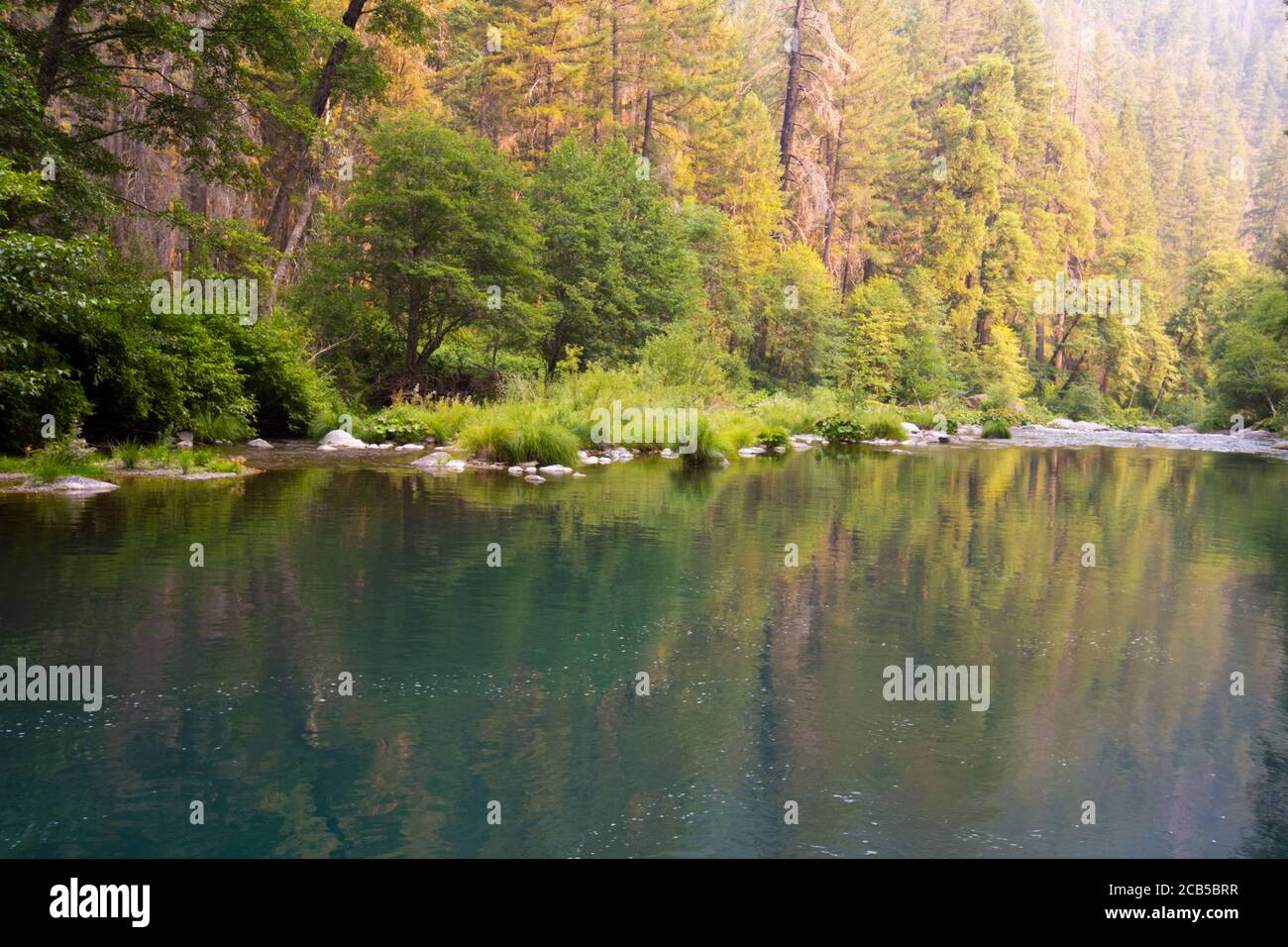 Stagni di acqua blu profondo in fiume con la vegetazione riflessione su superficie dell'acqua Foto Stock