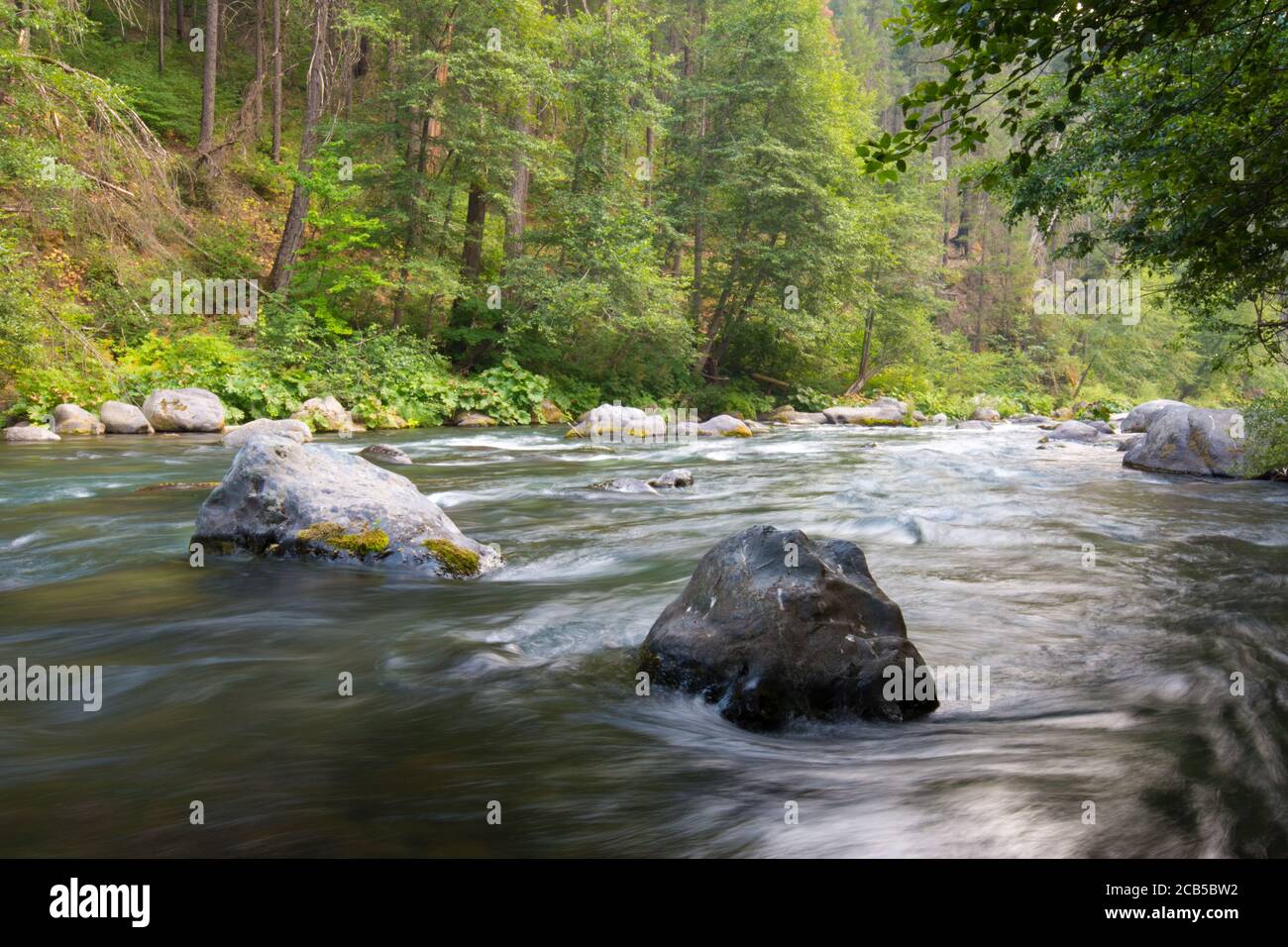 fiume che scorre liscio con rapide, grandi rocce e vegetazione verde sulle rive del fiume Foto Stock