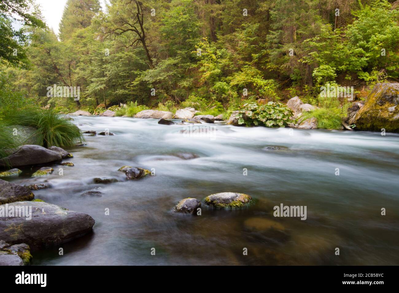 fiume che scorre liscio con rapide, grandi rocce e vegetazione verde sulle rive del fiume Foto Stock