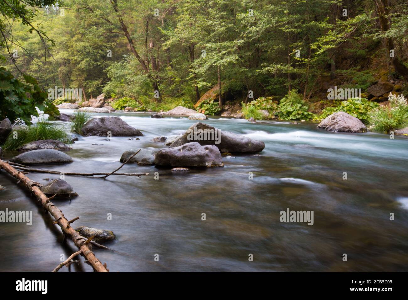 vista sul fiume di una lunga esposizione immagine che mostra rocce, acqua lattiginosa verde foresta vegetazione e albero morto in acqua Foto Stock