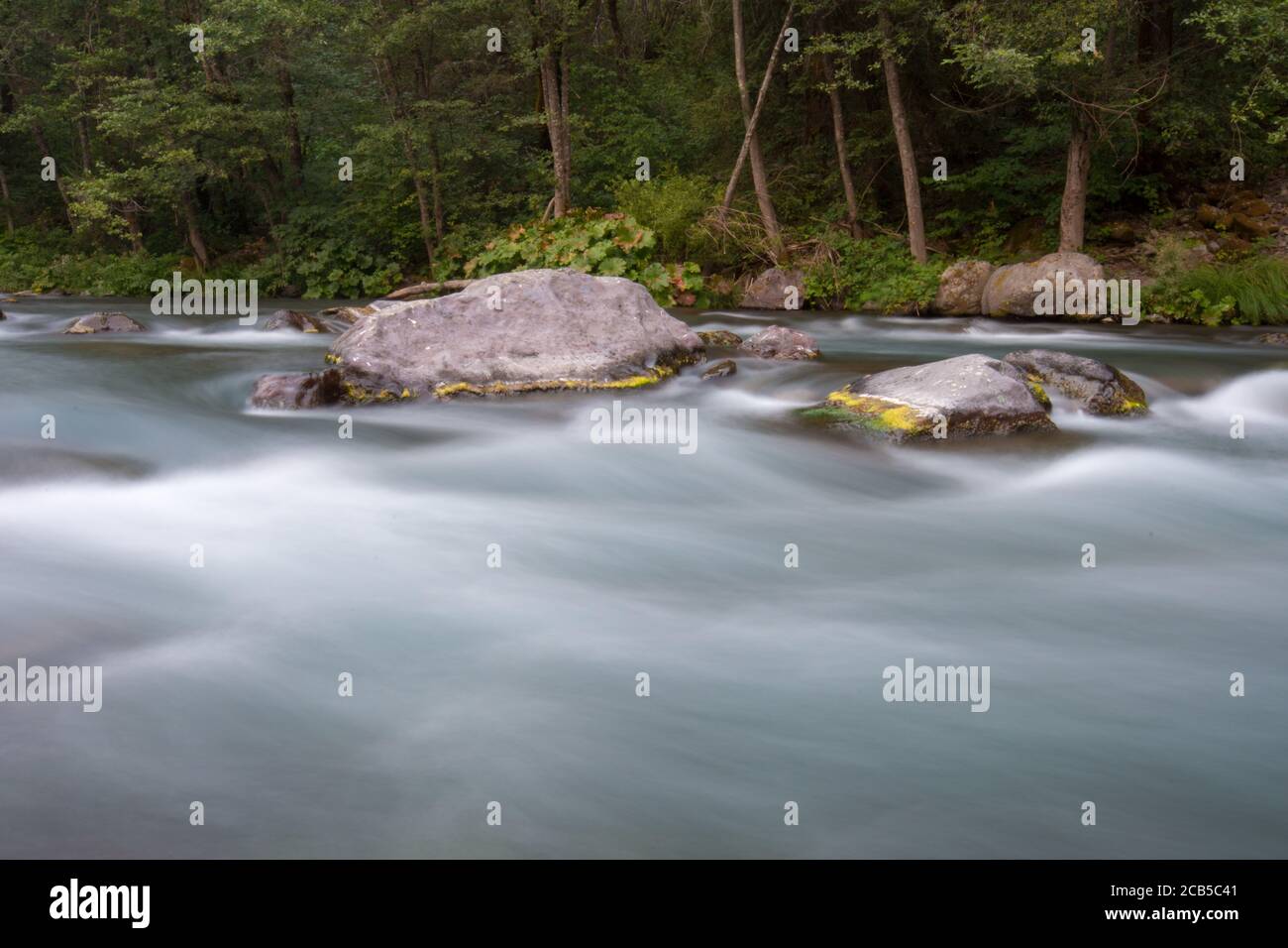 L'acqua fluente del fiume assomiglia alla nube o al latte con grande boulders e riva verde del fiume Foto Stock