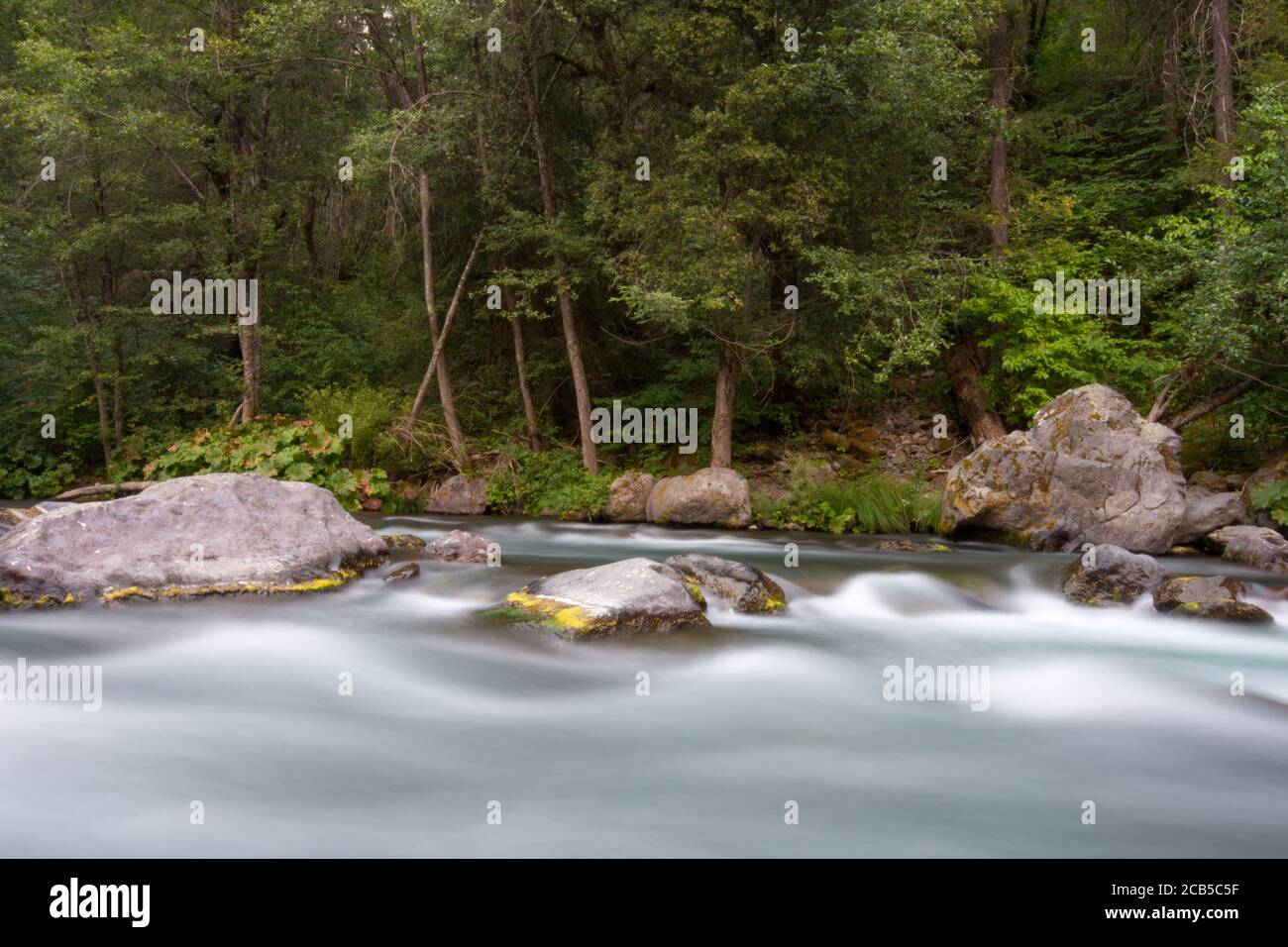 L'acqua fluente del fiume assomiglia alla nube o al latte con grande boulders e riva verde del fiume Foto Stock