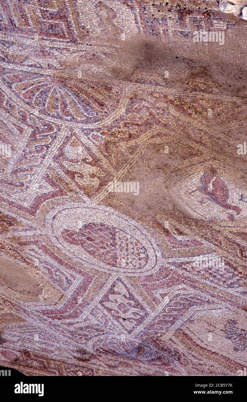 Particolare del pavimento a mosaico della chiesa occidentale (Nilo) nell'antica città nabatea di Mamshit, deserto di Negev, Israele Foto Stock