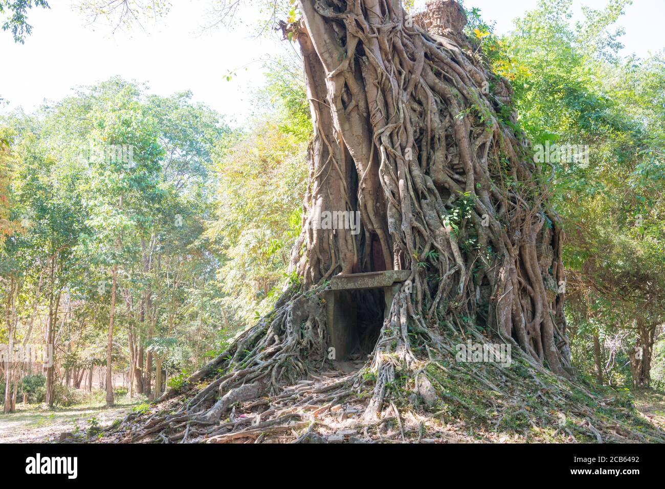 Kampong Thom, Cambogia - Sambor Prei Kuk a Kampong Thom, Cambogia. Fa parte della zona dei Templi di Sambor Prei Kuk, Patrimonio dell'Umanità. Foto Stock